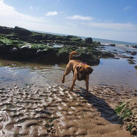 Beautiful Apartment 2 Mins To The Beach St Leonards-on-Sea Екстериор снимка
