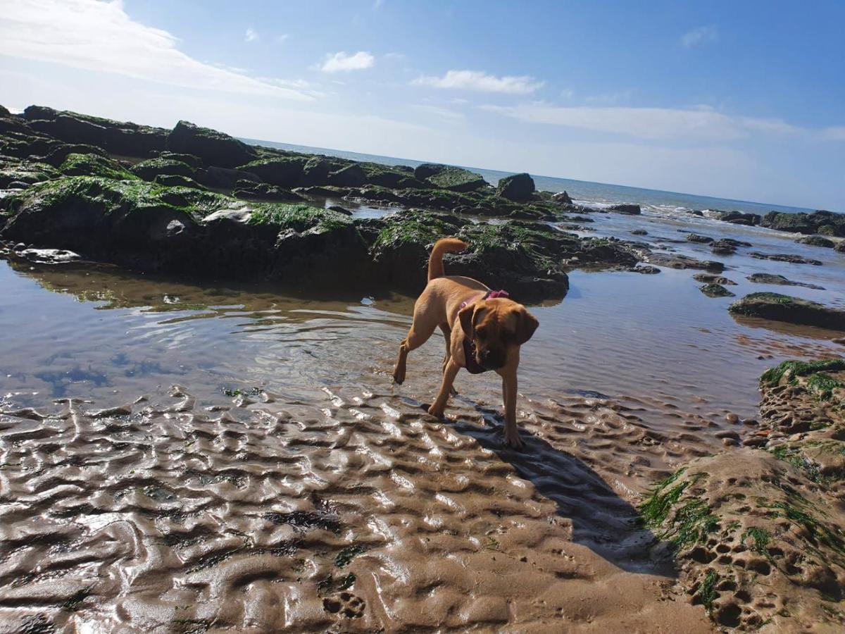 Beautiful Apartment 2 Mins To The Beach St Leonards-on-Sea Екстериор снимка